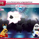 ���� ���������, ����, 72 ���� - ��������� 23 ������� 2010 � ������ �PetLove�