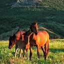 ���� �������, ���� - ��������� 12 ������ 2009 � ������ ����� "��������"�