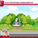 ���� �����, ����� - ��������� 23 ������ 2011 � ������ �PetLove�