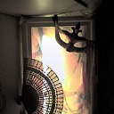 ���� �����, �����-���������, 59 ��� - ��������� 31 ����� 2010 � ������ �������