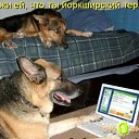 ���� Mm, �����-���������, 62 ���� - ��������� 2 �������� 2010 � ������ ��������