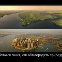 ���� �����, �����-���������, 52 ���� - ��������� 29 ������� 2011 � ������ ���� ����������