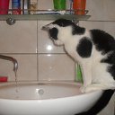 ���� ����, ������ - ��������� 11 ���� 2010 � ������ ������