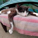 ����� �������� �� ����! �� ������� ���� ������� �����