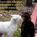���� ������, �������, 40 ��� - ��������� 13 ������� 2009 � ������ ����������� ��������, ������� ����������