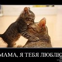 ���� �����, ����������, 55 ��� - ��������� 1 ������� 2012 � ������ ���� ����������