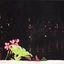 ���� ��������, ������ �����, 55 ��� - ��������� 8 �������� 2012 � ������ �������