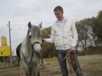 ����, ������, 41 ���