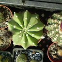 ���� ������, ������, 69 ��� - ��������� 5 ������ 2013 � ������ ���� ��������� ����������