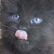 Viktoriya Smirnykh Airishcoon, �����������, 48 ���