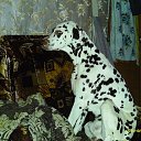 ���� ������, ��������, 60 ��� - ��������� 13 ������� 2011 � ������ ���� ���������