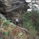 �������� ������� 2012� �� ������� ���� ����������