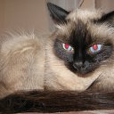 ���� �����, ����������� - ��������� 21 ������� 2010 � ������ ���� ����� �����