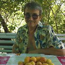 ���� ������, �������, 70 ��� - ��������� 12 ���� 2013 � ������ ���� ����������