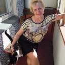 ���� �����, �����������, 73 ���� - ��������� 31 ��� 2013 � ������ ������� ����.�