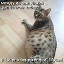 ���� ��������, �������� - ��������� 23 ����� 2012 � ������ �������� ��������
