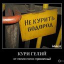 ���� ��������, ������, 36 ��� - ��������� 16 ������� 2012 � ������ ���� ����������