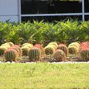 ���� ����, �������� ������ - ��������� 15 ������� 2011 � ������ ��������