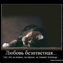 ���� ����, ���������, 39 ��� - ��������� 28 ��� 2011 � ������ ��� �� ��...�