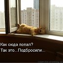 ���� ˸��, ����, 44 ���� - ��������� 26 ���� 2012 � ������ ������