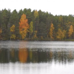 ���� �������, ��������, 52 ���� - ��������� 21 ������ 2010