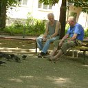   ( -        ,  -  16  2010      