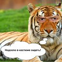 ���� �����, �����������, 45 ��� - ��������� 13 ����� 2010 � ������ ������