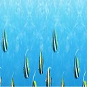 ���� ~North~, ���� - ��������� 1 ���� 2013 � ������ ���� ����������