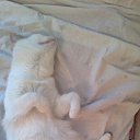 ���� ���������, ������ �������� - ��������� 26 ���� 2013 � ������ ������)))�