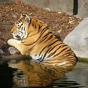 ���� �����, ����, 38 ��� - ��������� 6 ������ 2010 � ������ ���� ������� ����������