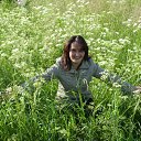 ���� �������, ������, 54 ���� - ��������� 8 ������� 2012