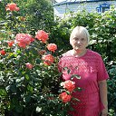 ���� �������, ������� - ��������� 20 ������� 2012 � ������ ���� ����������