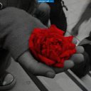 ���� �������, ������ �������� - ��������� 28 ������ 2011 � ������ ���� ����������