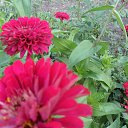 ���� �������, ��������� - ��������� 19 ������� 2012 � ������ ����������� �����