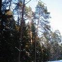 ���� ������, �����-���������, 66 ��� - ��������� 1 ������ 2012 � ������ ����� 2012 ����.�