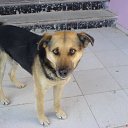 ���� ˸��, ����� - ��������� 2 ������ 2010