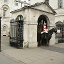 ���� ��������, ������, 68 ��� - ��������� 24 ��� 2013 � ������ ������� �� ������