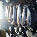 ���� ������, ������-��-����, 46 ��� - ��������� 15 ����� 2012