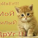 ���� ����������, �����-��������� - ��������� 24 �������� 2012 � ������ ����������,������