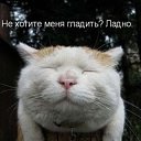 ���� ��, �������� - ��������� 22 ���� 2012 � ������ �������