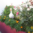 ���� �����, ������ �������� - ��������� 11 ��� 2010 � ������ �������