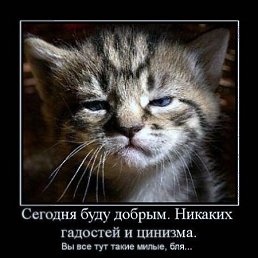 ���� �������, ����������, 50 ��� - ��������� 23 ������� 2011