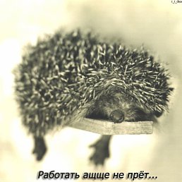 ���� �������, ���������, 53 ���� - ��������� 6 ������� 2012