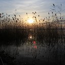 ���� �����, ������ - ��������� 16 ������� 2012 � ������ ������ �.������{�������� �������.}�