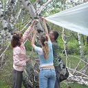 ���� Rina, �������, 39 ��� - ��������� 17 ��� 2010 � ������ �������