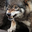 ���� �����, �����-�������� - ��������� 4 �������� 2012 � ������ �� ���� � ���� ������� ���.�