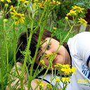 ���� �����, ����������, 41 ��� - ��������� 21 ����� 2012 � ������ ���� ����������