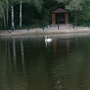 ���� ������� �����, ����������� - ��������� 29 ���� 2011 � ������ �������