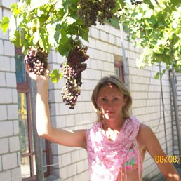 , 43, 