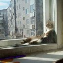 ���� ������� Jherek, ���������, 46 ��� - ��������� 16 ���� 2011 � ������ ��� �� ������...�